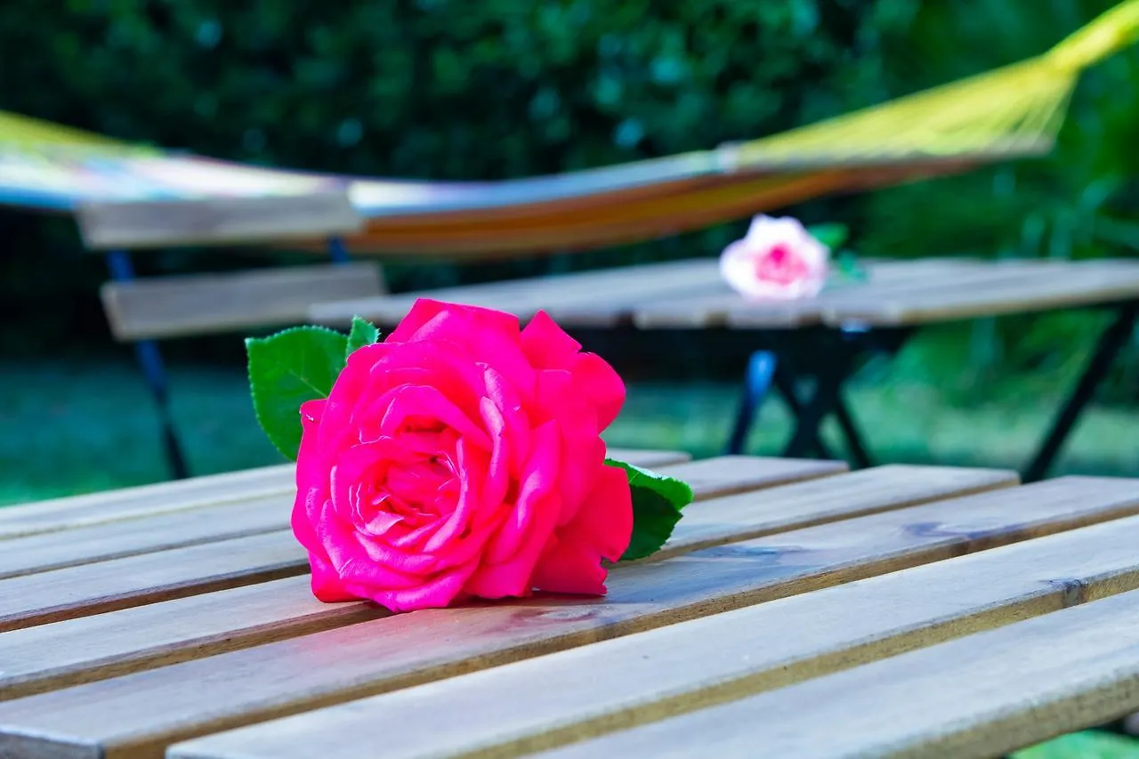 La Bicicletta Rossa B&B Cenaia Bed & Breakfast