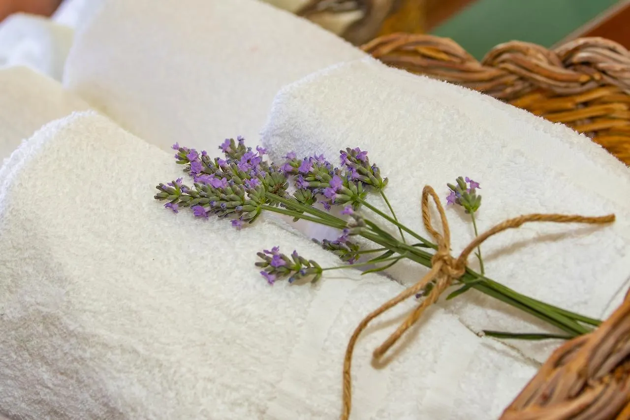 Bed & Breakfast La Bicicletta Rossa B&B Cenaia Italy